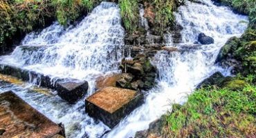 Cascades Spring – a karst spring in the Arney Catchment
