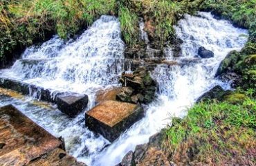 Cascades Spring – a karst spring in the Arney Catchment