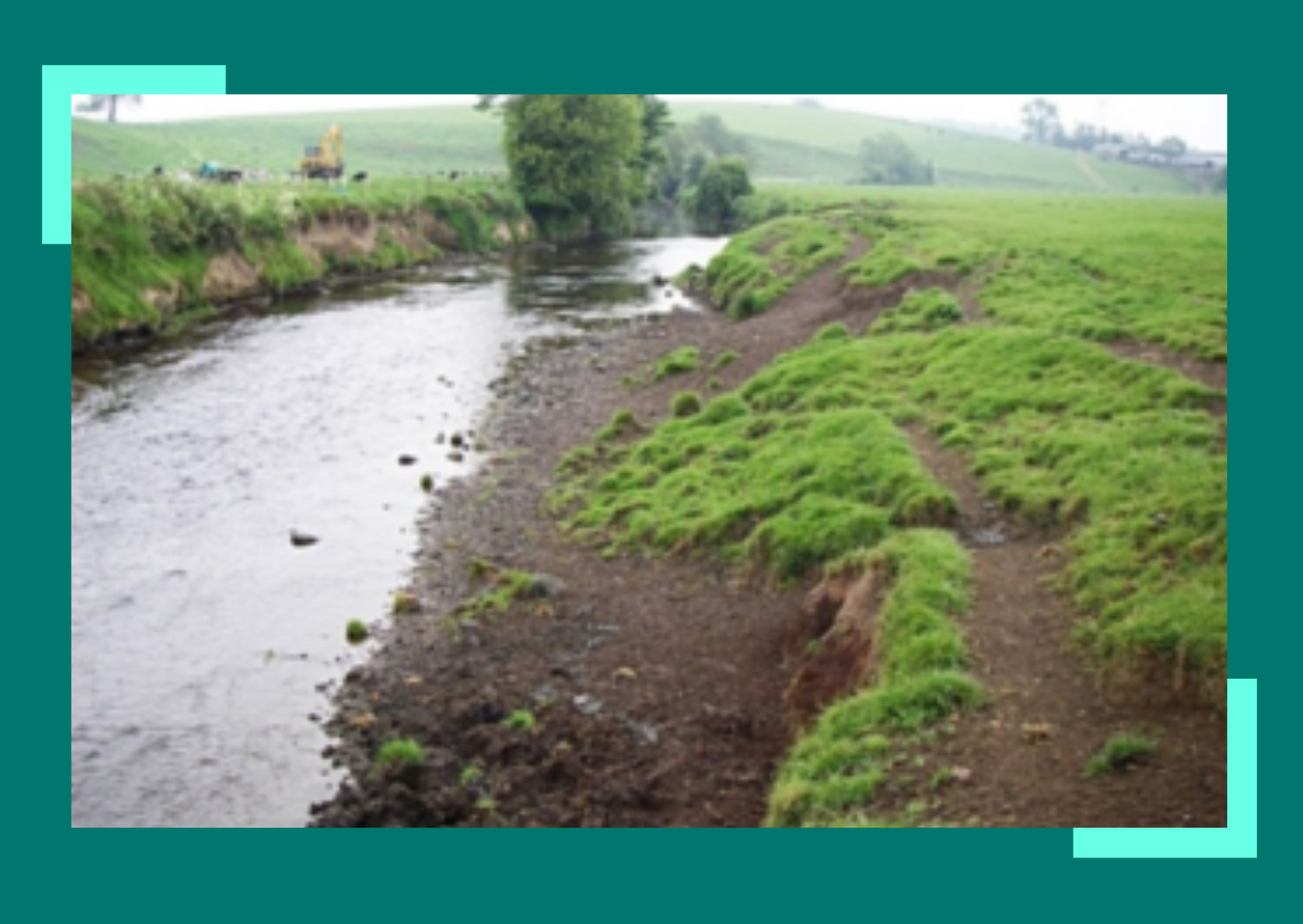 riparian-works-to-improve-water-quality-catchment-care